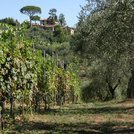 Bed and breakfast Casa Fontanino Altopascio
