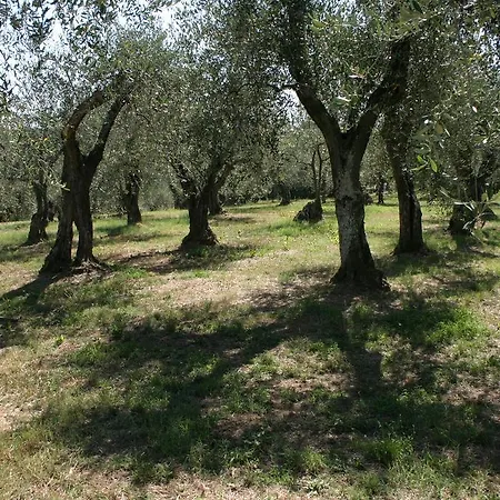Casa Fontanino Altopascio