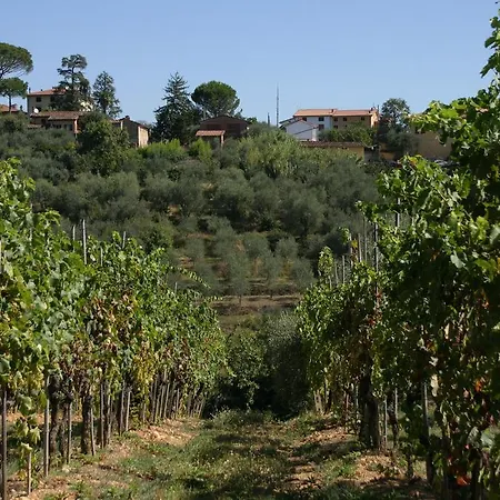 Casa Fontanino 3* Altopascio