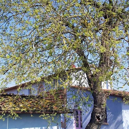 Bed & Breakfast Casa Fontanino
